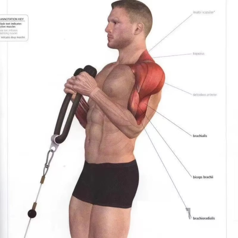Triceps Lowering Rope Face Pull Handles Push Pull down Cord for Biceps Back Shoulder Triceps Fitness Tension Rope Gym Accessory